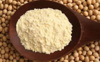 /album/galeria-de-fotos%3a-gr%c3%a3os%2c-cereais-e-farinhas/farinha-de-soja-jpg/